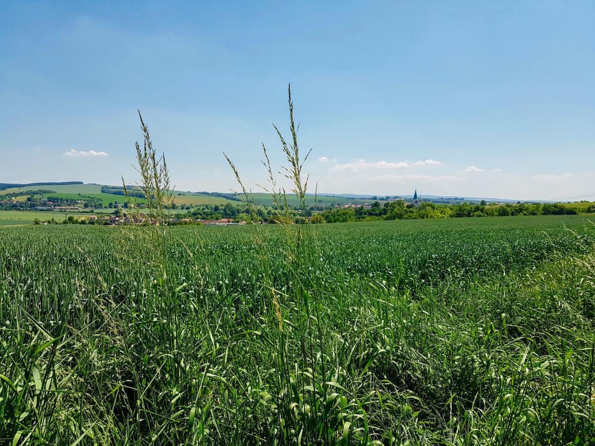 Ubytovani Ve Vinarstvi Medek | Medek House & Winery Uherské Hradiště エクステリア 写真