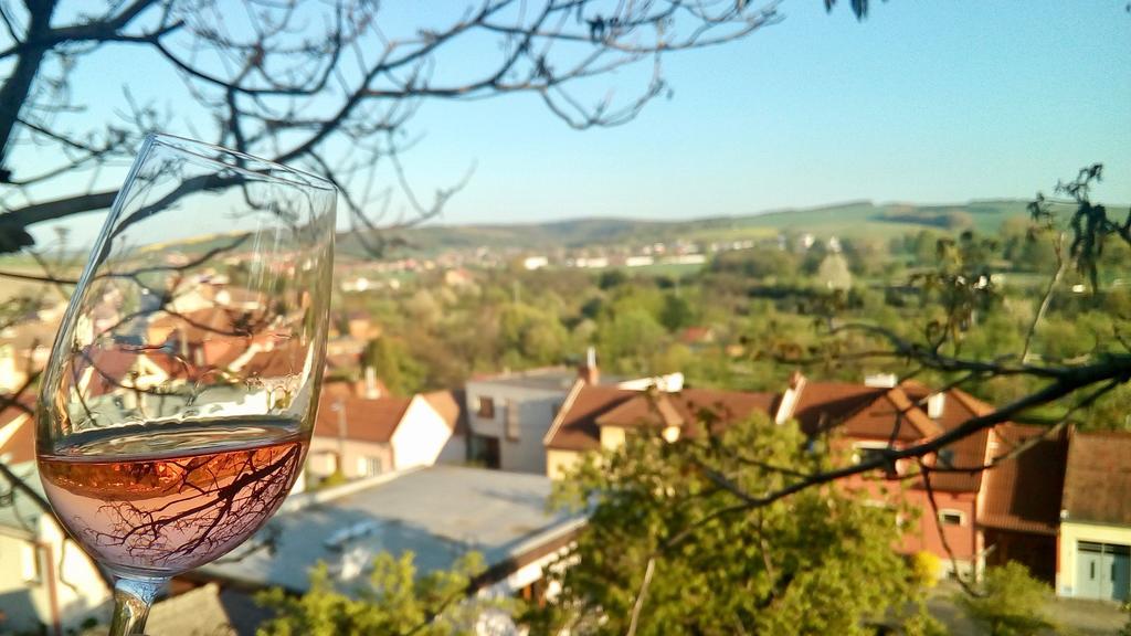 Ubytovani Ve Vinarstvi Medek | Medek House & Winery Uherské Hradiště エクステリア 写真