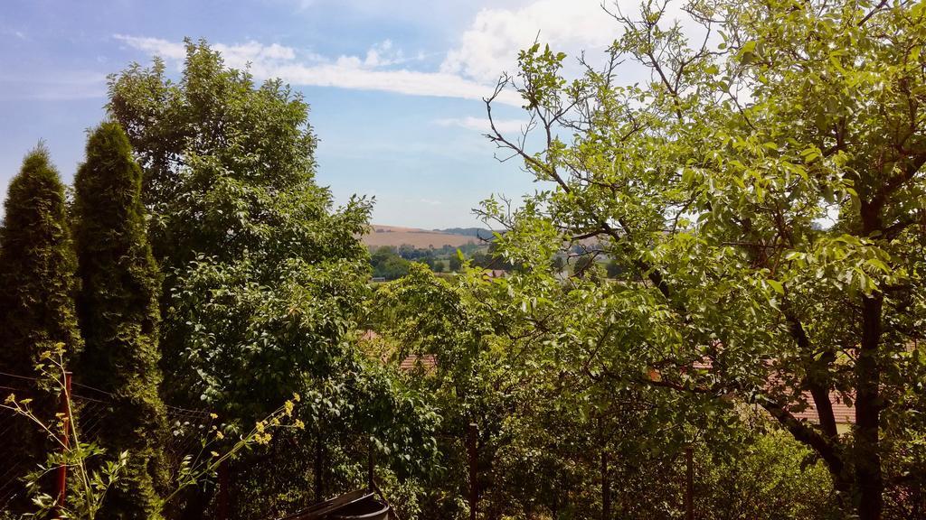 Ubytovani Ve Vinarstvi Medek | Medek House & Winery Uherské Hradiště エクステリア 写真
